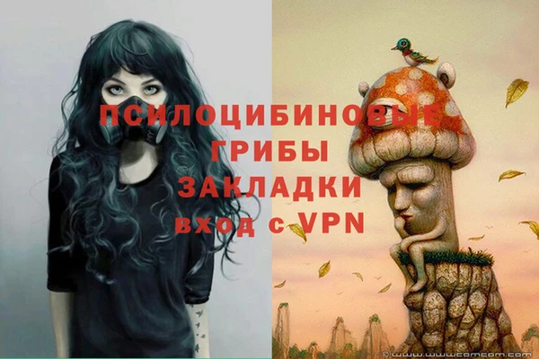 гидра Алексеевка
